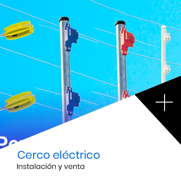 Cerco-electrico